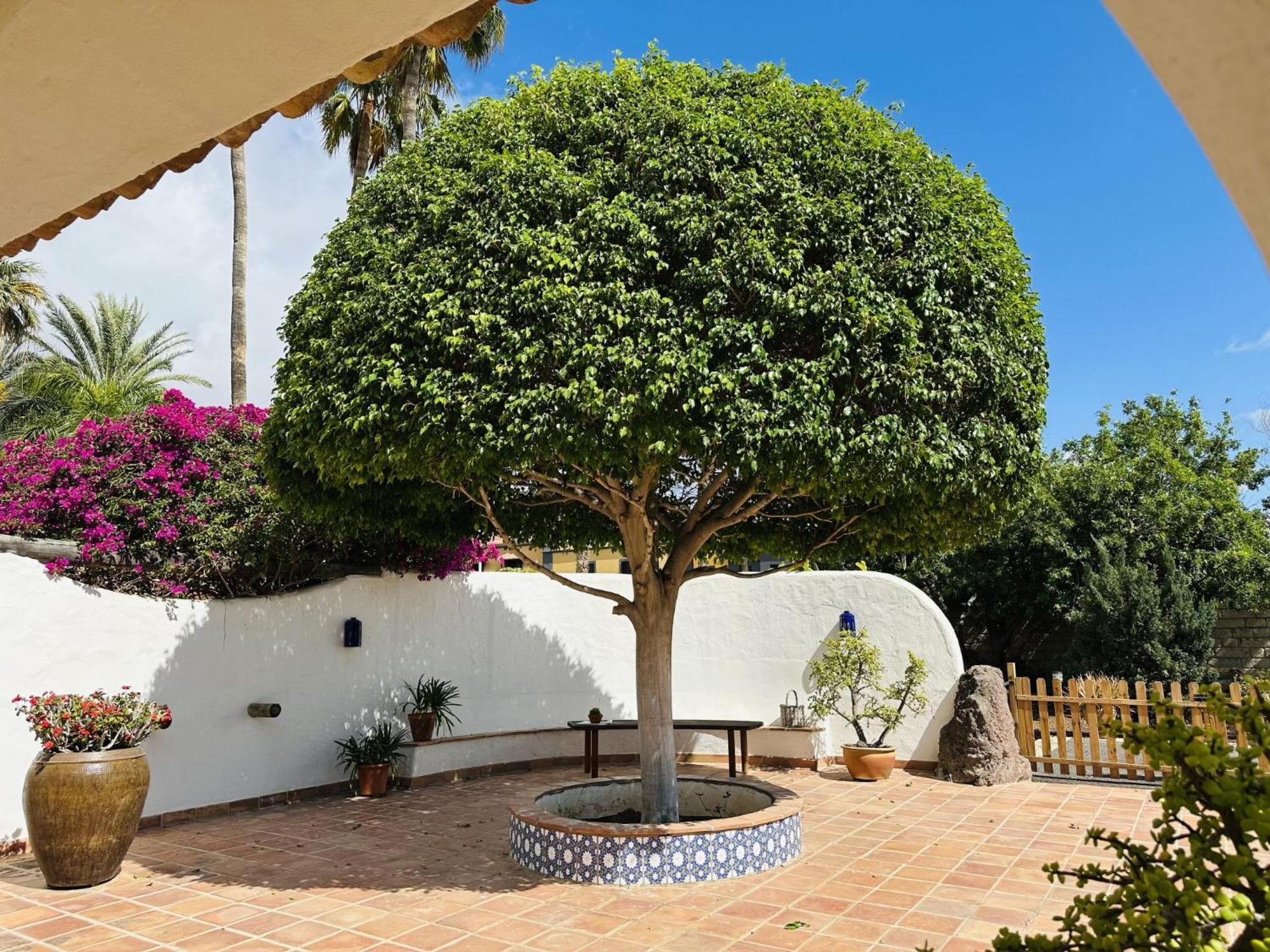 Villa Finca Ingala By Interhome Costa Adeje  Eksteriør bilde